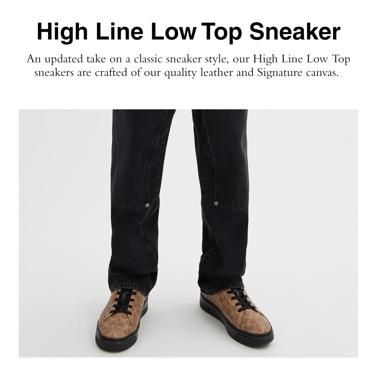 COACH High Line Signature Low Top Khaki/Black 7 D