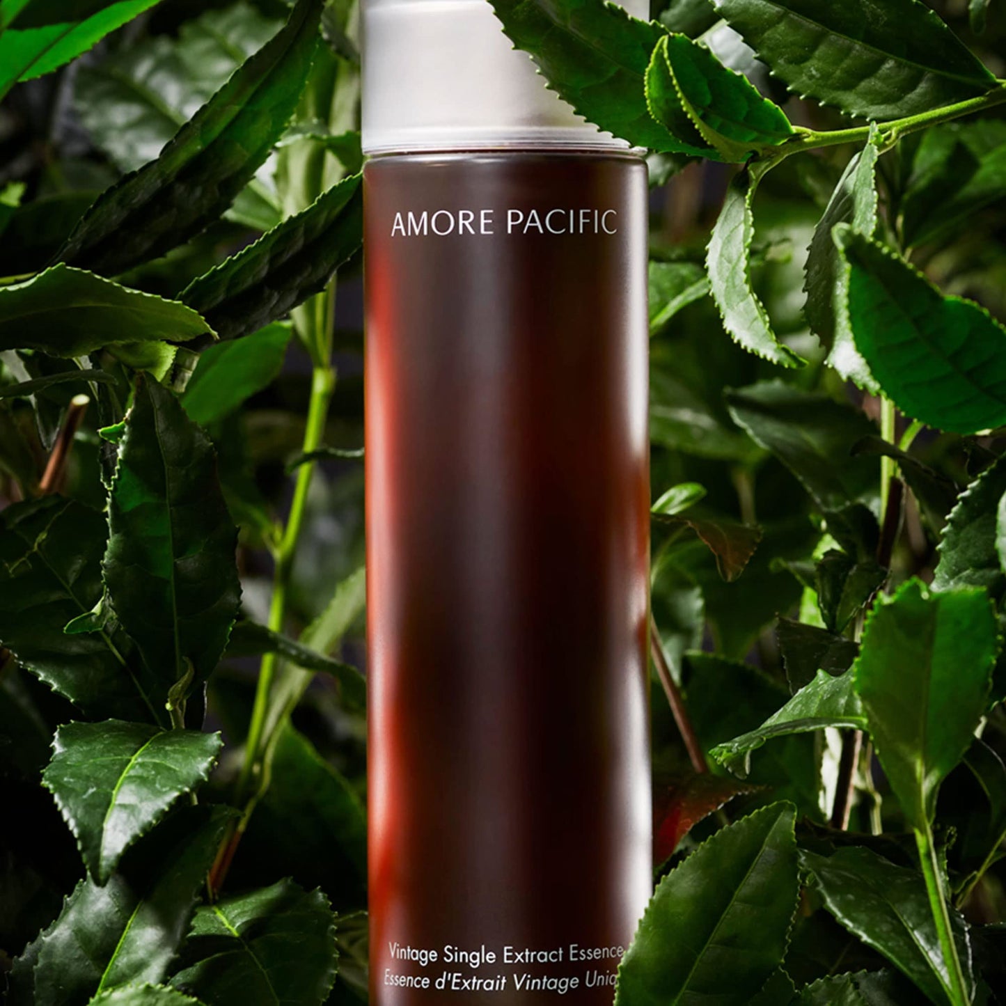 AMOREPACIFIC Vintage Single Extract Essence | Anti-Aging Korean Antioxidant Green Tea Face Serum, Boosts Hydration & Radiance, 5.0 Fl Oz