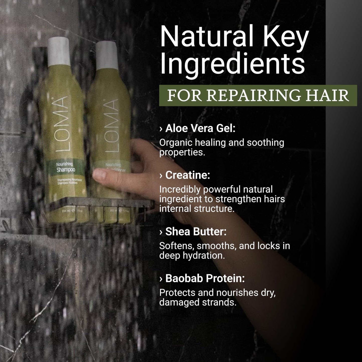 LOMA Nourishing Shampoo and Nourishing Conditioner (DUO PACK) 33 Ounce (Liter)