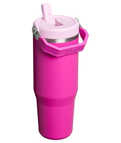 STANLEY IceFlow 2.0 Flip Straw Tumbler with Handle 30 oz | Twist On Lid and Flip Up Straw | Leak Resistant Water Bottle | Insulated Stainless Steel | BPA-Free | Violet Blossom