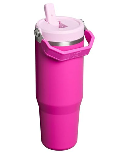 STANLEY IceFlow 2.0 Flip Straw Tumbler with Handle 30 oz | Twist On Lid and Flip Up Straw | Leak Resistant Water Bottle | Insulated Stainless Steel | BPA-Free | Violet Blossom