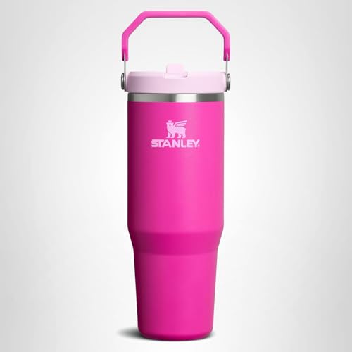STANLEY IceFlow 2.0 Flip Straw Tumbler with Handle 30 oz | Twist On Lid and Flip Up Straw | Leak Resistant Water Bottle | Insulated Stainless Steel | BPA-Free | Violet Blossom