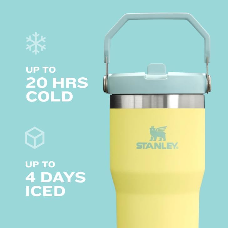 STANLEY IceFlow 2.0 Flip Straw Tumbler with Handle 30 oz | Twist On Lid and Flip Up Straw | Leak Resistant Water Bottle | Insulated Stainless Steel | BPA-Free | Violet Blossom