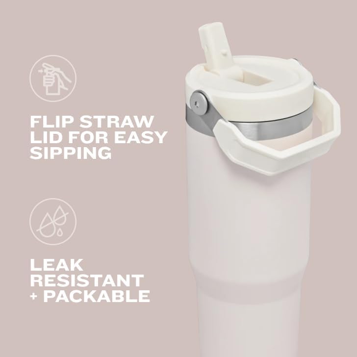 STANLEY IceFlow 2.0 Flip Straw Tumbler with Handle 30 oz | Twist On Lid and Flip Up Straw | Leak Resistant Water Bottle | Insulated Stainless Steel | BPA-Free | Violet Blossom