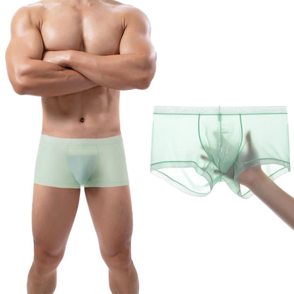 HASWECHYS Men's Sexy Underwear Ice Silk Sheer Boxer Briefs See Through Mesh Ultra Thin Transparent Trunk 1 Light Green L