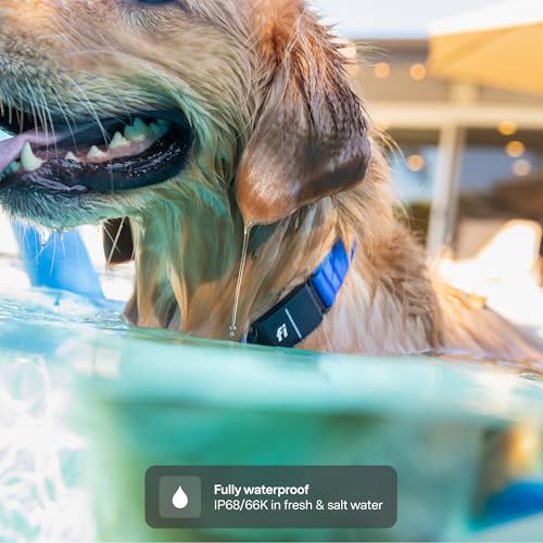 New Fi Series 3+ Smart Dog Tracker Collar [12 Month Membership Included] GPS Tracker for Dogs with Health & Behavior Monitoring, Escape Alerts, Waterproof, LED, Apple Watch Compatible (Pink, Large)