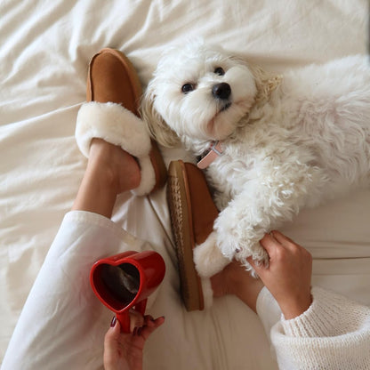 Dearfoams Women's Fireside Sydney Shearling Fur Indoor/Outdoor Scuff Slipper with Wide Widths, Chestnut, 6.5