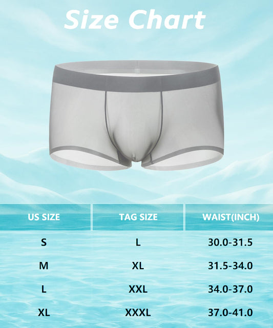 PAIZH Mens Sexy See Through Boxers Ice Silk Sheer Underwear Trunks Stretch Ultra Thin Bulge Pouch Boxer Briefs Grey L