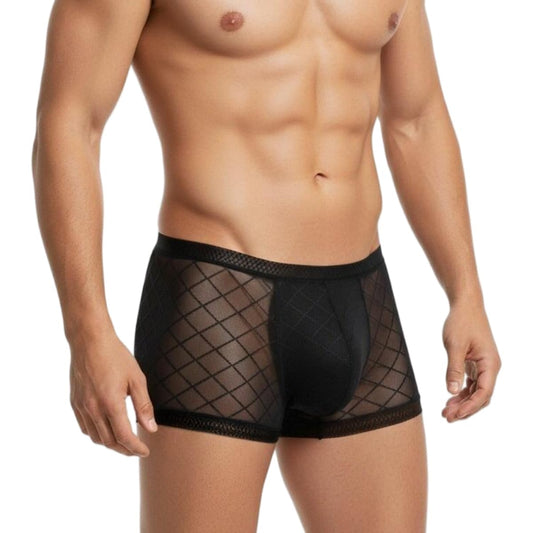 YINYOUYU Mens See Through Boxers Sexy Mesh Lace Trunk Underwear Seamless Thin Bulge Pouch Boxer Briefs M Black