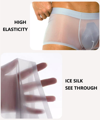 PAIZH Mens Sexy See Through Boxers Ice Silk Sheer Underwear Trunks Stretch Ultra Thin Bulge Pouch Boxer Briefs Grey L