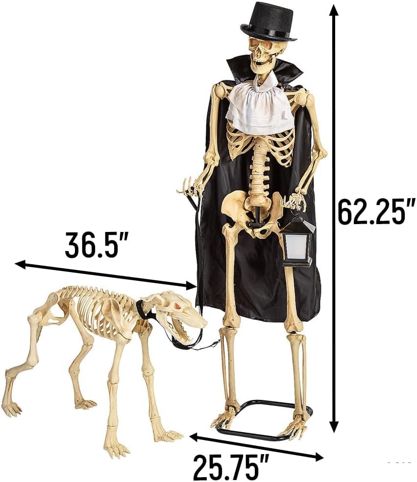 Animated Life-Size Skeleton & Dog Halloween Decorations Set - 36.5"x 25.75"x 62.25", 2 Pieces | Perfect Indoor and Outdoor Haunted House Display
