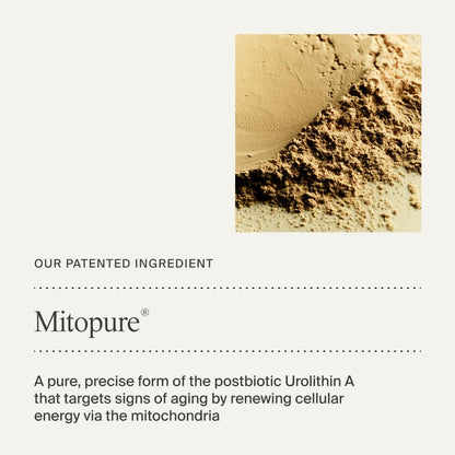 Timeline Mitopure™ Barrier Cream Nourishing Moisturizer With Peptides to Restore Dry Skin & Strengthen Barrier - 1.7 Fl Oz