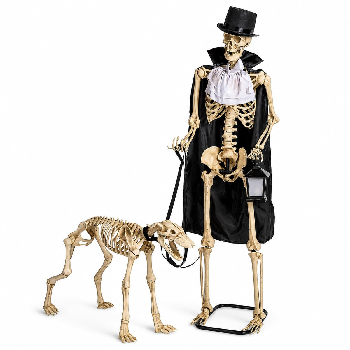 Animated Life-Size Skeleton & Dog Halloween Decorations Set - 36.5"x 25.75"x 62.25", 2 Pieces | Perfect Indoor and Outdoor Haunted House Display