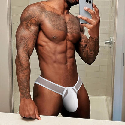 Meshal Men's Sheer Low Rise See Through Briefs Soft Breathable Bulge Pouch Sexy Underwear Black/White XXL