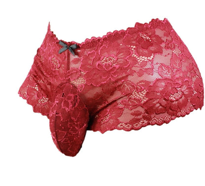 aishani Men's Lingerie Style Underwear - Soft Lace Pouch Briefs Panties,Breathable & Supportive for Everyday Wear,Large