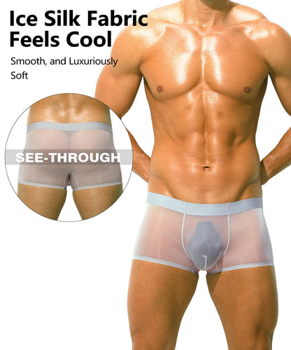 PAIZH Mens Sexy See Through Boxers Ice Silk Sheer Underwear Trunks Stretch Ultra Thin Bulge Pouch Boxer Briefs Grey L