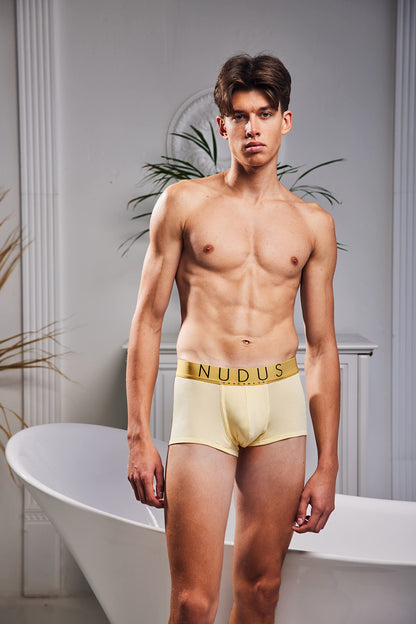 Bamboo Rayon Men's Trunk -  Underwear with Double Pouch – 4 Pack Breathable,-  Soft & Lightweight Low Rise Boxer Briefs – Luxury Gift