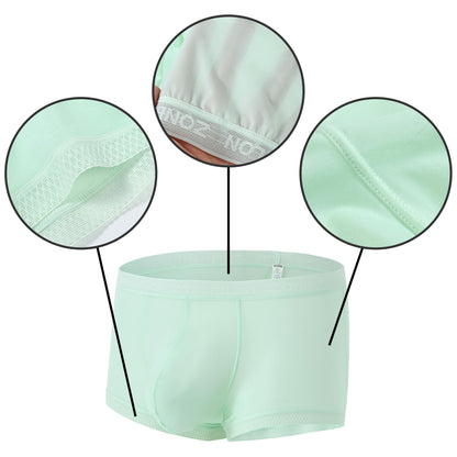 HASWECHYS Men's Sexy Underwear Ice Silk Sheer Boxer Briefs See Through Mesh Ultra Thin Transparent Trunk 1 Light Green L