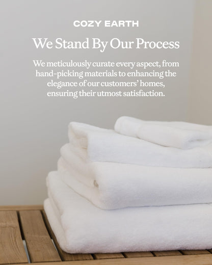 Cozy Earth Complete Luxe Bath Bundle - 60% Cotton 40% Viscose from Bamboo - Quick Dry & Plush Cotton Bath Towel Set - 4 Washcloths, 2 Hand Towels, 2 Bath Towels, 2 Bath Sheets - Light Grey