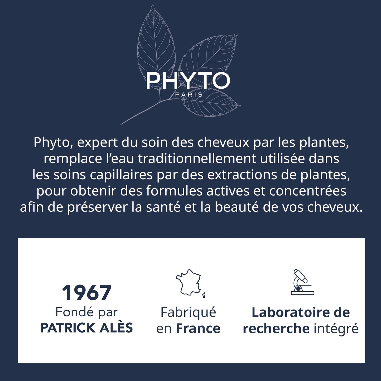 PHYTO SOFTNESS Shampoo