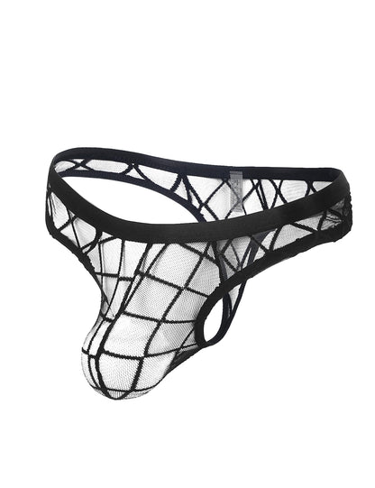 sunshinelady Mens Sexy Mesh Thong Low Rise G String T-Back See Through Underwear Black Breathable Panties for Men M