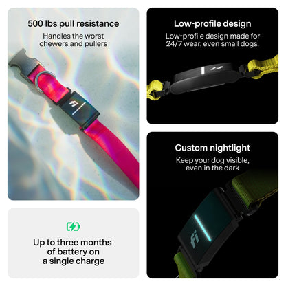 New Fi Series 3+ Smart Dog Tracker Collar [12 Month Membership Included] GPS Tracker for Dogs with Health & Behavior Monitoring, Escape Alerts, Waterproof, LED, Apple Watch Compatible (Pink, Large)