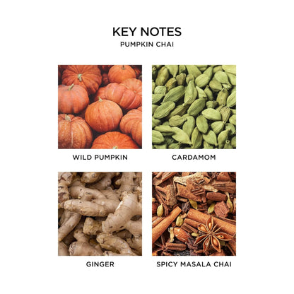 NEST New York Scented Votive Candle, Pumpkin Chai