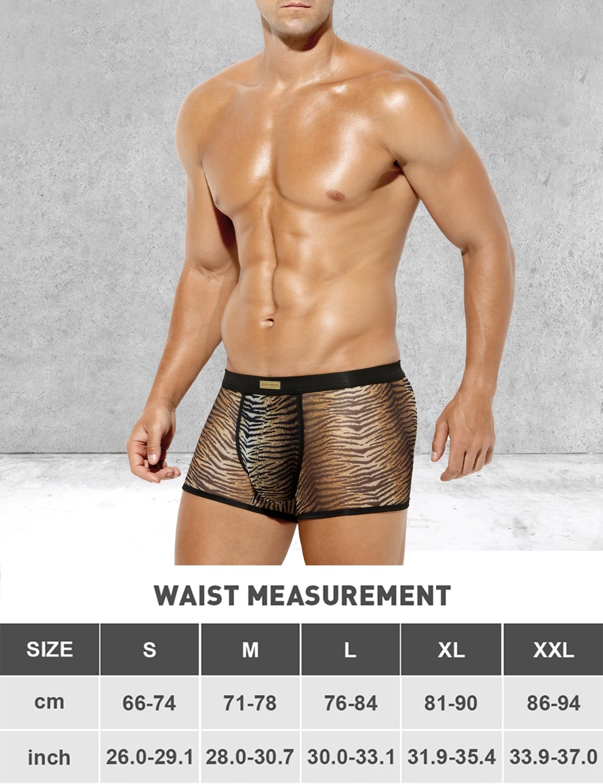 Arjen Kroos Men's Sexy Mesh Trunks Underwear Soft Breathable Boxer Briefs,GREY TIGER
