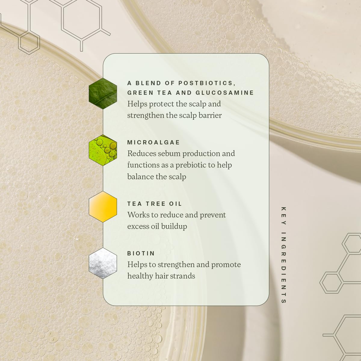 Divi Volumizing Shampoo for Women and Men - Lightweight Volume Shampoo for Fine Hair - Formulated to Cleanse, Nourish and Balance the Scalp, 12 Fl Oz.