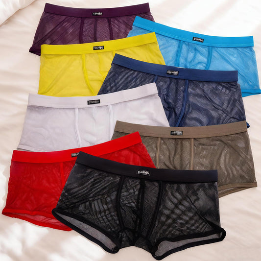 Evankin Men's Boxers Sexy Underwear Mesh Breathable Gay low rise Valentines boxer briefs(36Hei, XL)