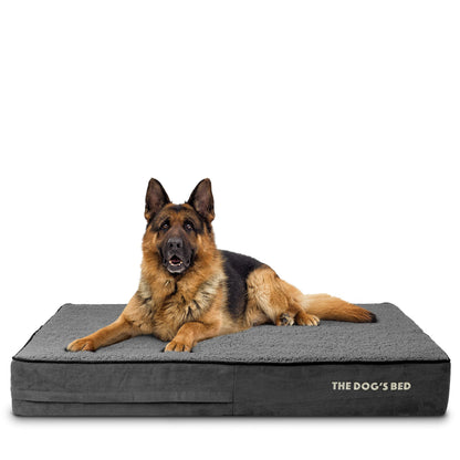 The Dog’s Bed Orthopedic Memory Foam Dog Bed, XL Grey Plush, Pain Relief for Arthritis, Hip & Elbow Dysplasia, Post Surgery, Lameness, Supportive, Calming, Waterproof Washable Cover
