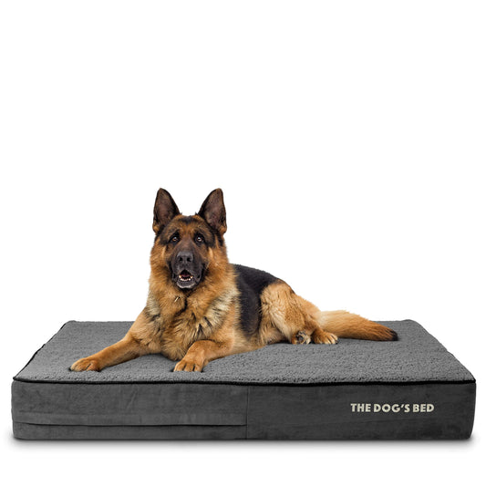 The Dog’s Bed Orthopedic Memory Foam Dog Bed, XL Grey Plush, Pain Relief for Arthritis, Hip & Elbow Dysplasia, Post Surgery, Lameness, Supportive, Calming, Waterproof Washable Cover