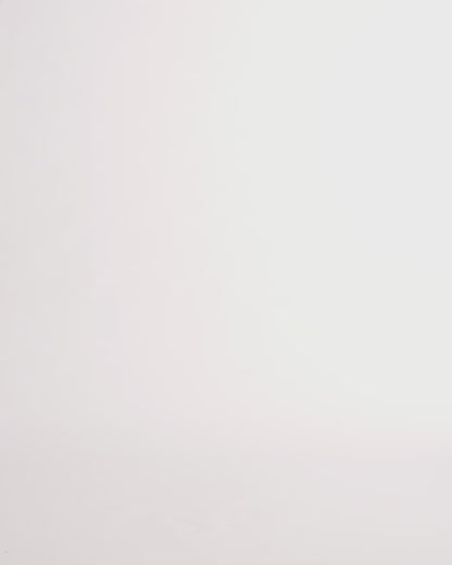Truly undetectable sheer shaper shorts