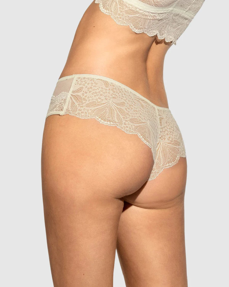 Sheer Lace Hipster Panty