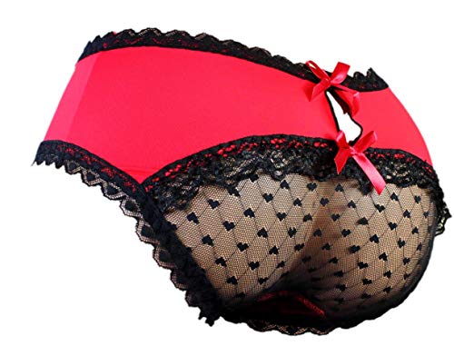 aishani SISSY pouch panties men's hipster panty silky lace bikini briefs for men - L Red