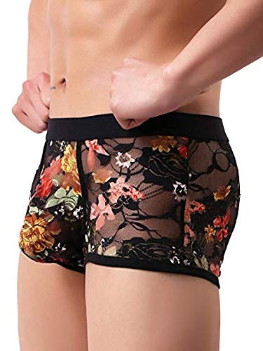 Sexy Men's Boxers Briefs Transparent Lace Underwear (L, Black)