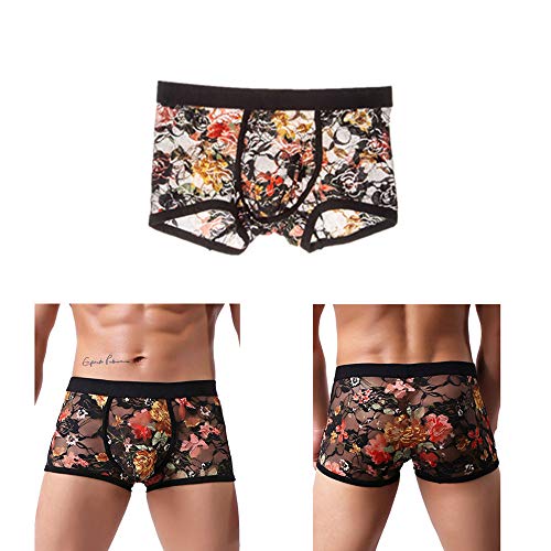 Sexy Men's Boxers Briefs Transparent Lace Underwear (L, Black)